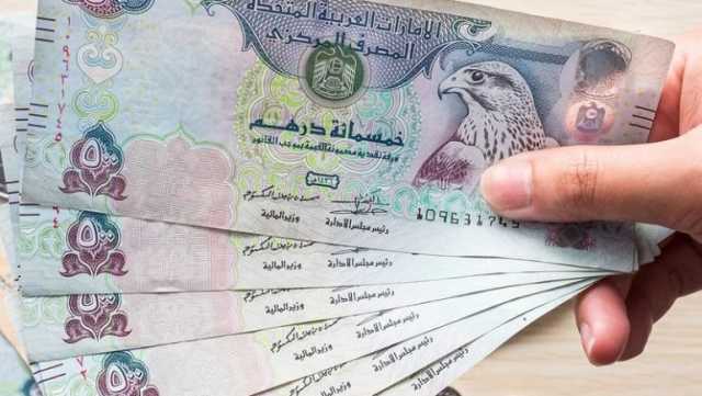 سعر الدرهم الإماراتي مقابل الجنيه المصري اليوم السبت 24 أغسطس 2024