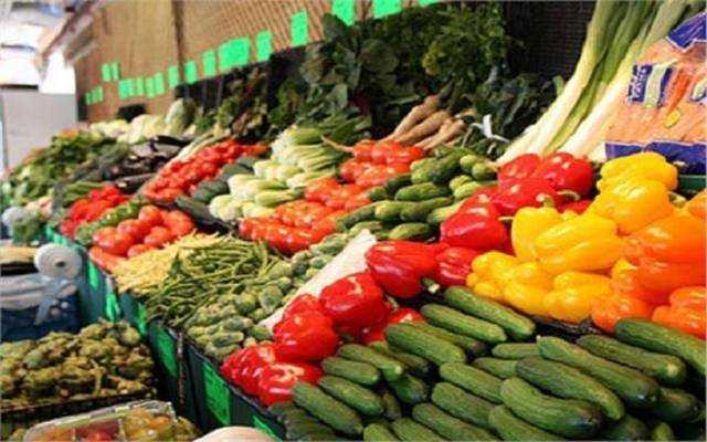 حاتم نجيب: مصر تستورد 80% من بذور الخضروات والفاكهة | فيديو
