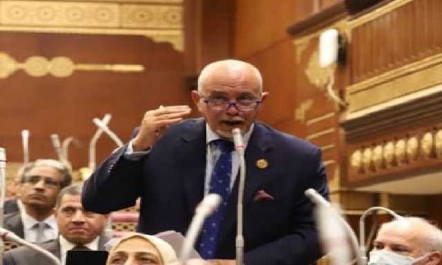 برلماني: انضمام مصر لتجمع «البريكس» شهادة دولية جديدة لدورها المحوري عالمياً