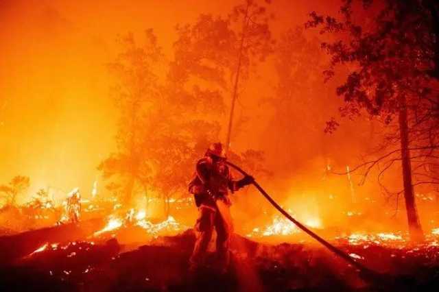 ارتفاع جديد.. حصيلة ضحايا حرائق الغابات بولاية هاواي الأمريكية حتى الآن