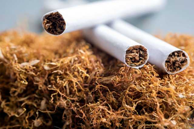 «الشرقية للدخان»: ضخ كميات كبيرة من السجائر للتجار المعتمدين