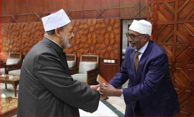 شيخ الأزهر يستقبل رئيس مجمع علماء الصومال لبحث سبل تعزيز التعاون المشترك