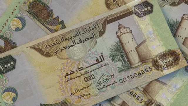 سعر الدرهم الإماراتي مقابل الجنيه المصري اليوم الإثنين 11 نوفمبر 2024