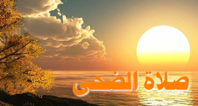 تجلب الخير والبركة.. الإفتاء توضح حكم صلاة الضحى ووقت أدائها