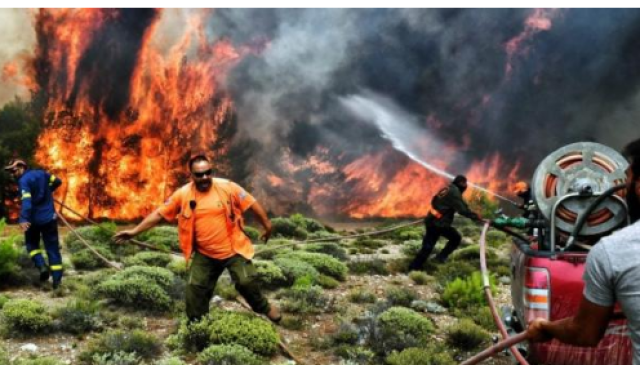 5 قتلى وعشرات الإصابات بحرائق الغابات جنوب شرقي تركيا