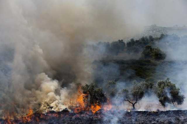 مستوطنون يحرقون محاصيل زراعية لفلسطينيين جنوب الخليل