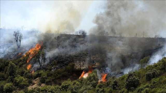 الجزائر .. السيطرة على حريق غابات تسبب في إجلاء 33 عائلة