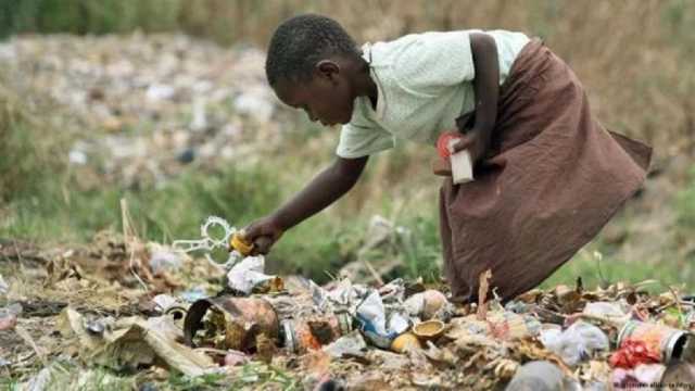 وزير الزراعة السوداني ينفي وقوع مجاعة