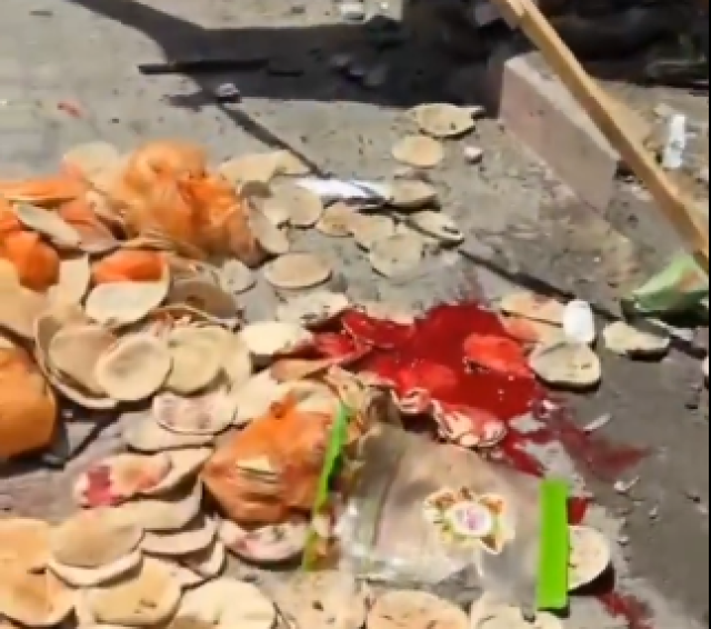 خبز مغمس بالدماء .. مشاهد من الجريمة التي ارتكبها الاحتلال في حي الزيتون - فيديو
