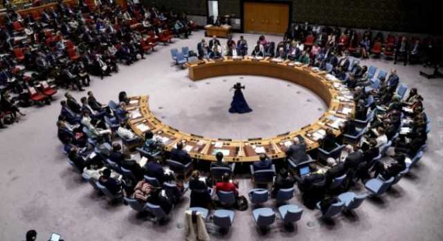 عاجل : مجلس الامن يصوت على قرار عضوية فلسطين بالأمم المتحدة الليلة