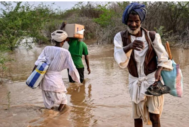 عربة حصان .. سبيل الغارقين في سيول السودان