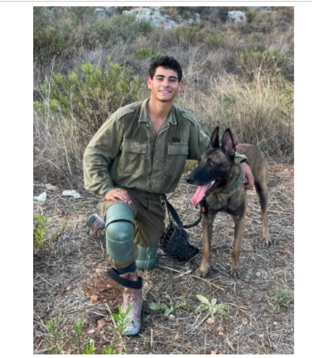 عاجل : الجيش الإسرائيلي: مقتل رقيب وإصابة 13 جنديا