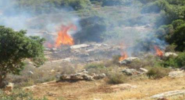 مستوطنون يشعلون النيران قرب قرية الجانية غرب رام الله - فيديو