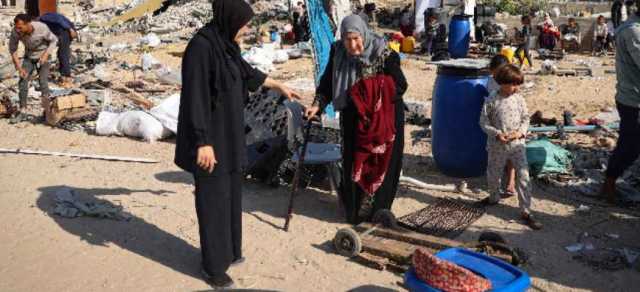 بجذور راسخة .. أهالي القطاع سنديانة تتحدى الحرب