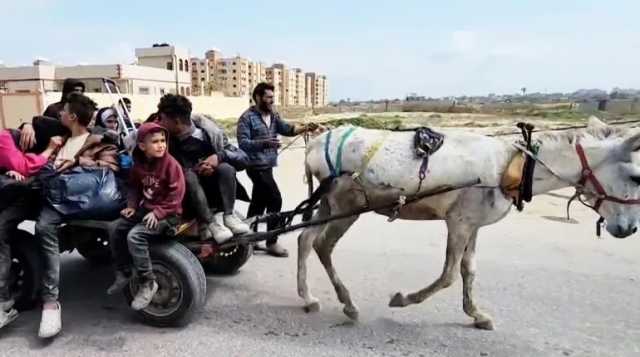 عاجل : مع 4 أيتام معاقين .. الغزاوية سميرة تروي مآسي الفرار من المجاعة