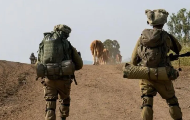 إعلام عبري يدعي سحب قوات النخبة التابعة لـحزب الله من الجنوب