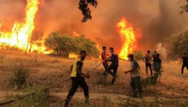 دمار و34 قتيلا على الأقل في حرائق عنيفة تكتسح شمال وشرق الجزائر