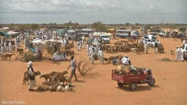 قتلى وجرحى في هجوم الدعم السريع على الخوي