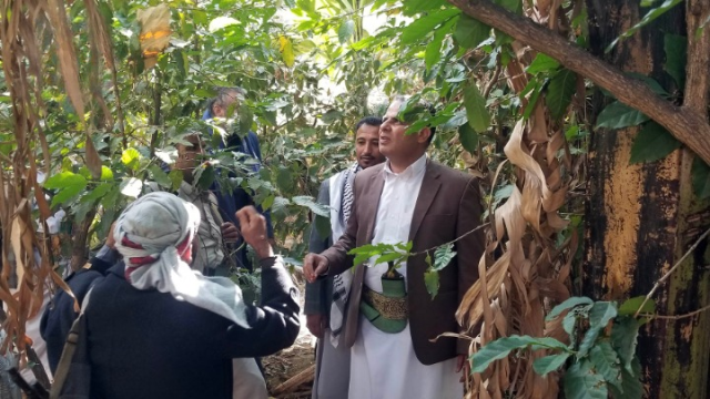 المحافظ الصوفي يتفقد مشاريع المياه ومزارع البن في مديرية شرس بحجة
