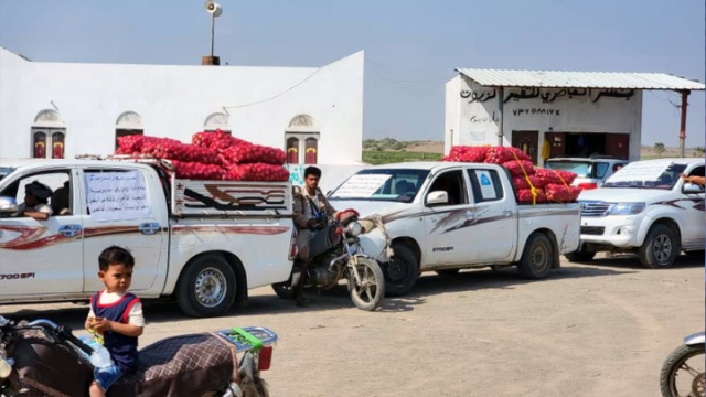 مزارعو مديرية التحيتا بمحافظة الحديدة يسّيرون قافلة دعم للمرابطين في الجبهات