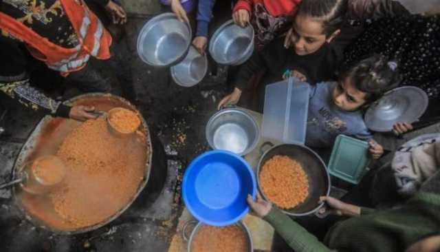 الأورومتوسطي: نصف مليون مواطن في غزة يعانون من المجاعة