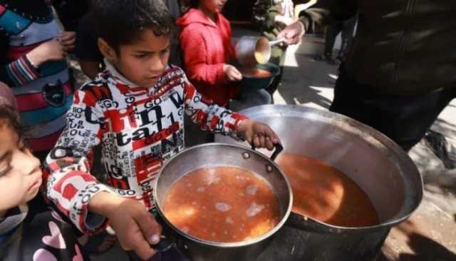 مأساة غزة وفلسطين … وأزمة النظام السياسي العربي