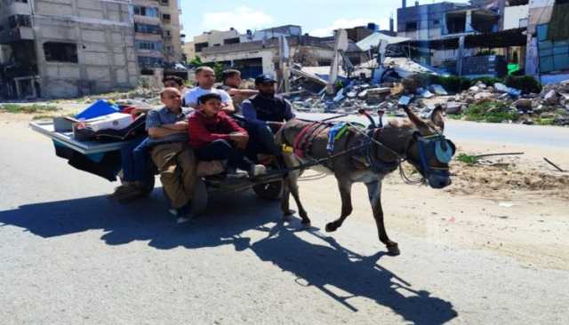 أكثر من 630 ألف فلسطيني تعرضوا للتهجير القسري من مدينة رفح