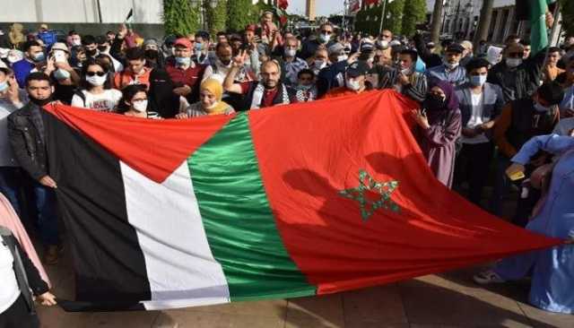 أكثر من 100 تظاهرة في المغرب لدعم غزة والإشادة بالتضامن الطلابي الغربي