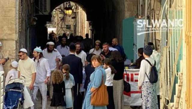 181 مستوطناً يهودياً يدنسون باحات المسجد الأقصى المبارك