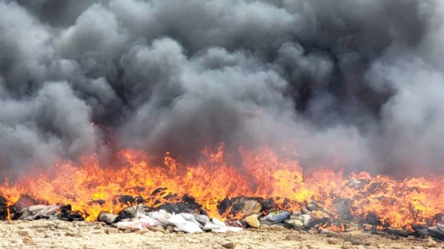 النيابة العامة في صعدة تتلف أكثر من 7 أطنان من الحشيش المخدر