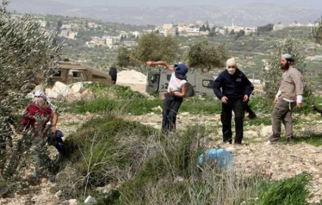 مقاومة الجدار والاستيطان: 1228 اعتداء نفذه جيش الاحتلال والمستوطنون في اغسطس الماضي