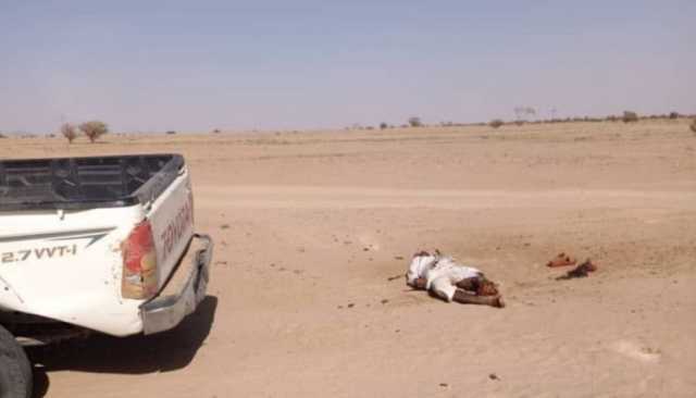 مقتل مواطن برصاص مرتزقة العدوان في نقطة تفتيش بالجوف (صورة)