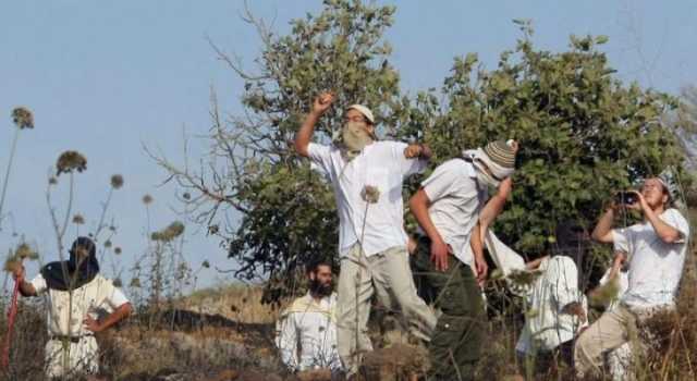 اعتداءات جديدة على الأطفال الفلسطينيين في مستوطنة “حالات ماعون”