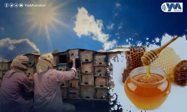 كيف يؤثر التغيّر المناخي على انتاج العسل اليمني؟!-تقرير خاص