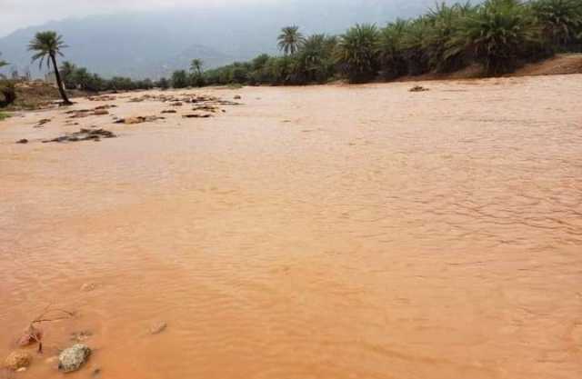 سقطرى…خبراء الأرصاد يتوقعون تأثر الجزيرة باضطرابات مدارية قادمة من بحر العرب