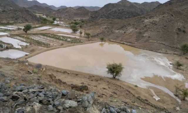 الأرصاد اليمني: أمطار رعدية على المرتفعات وحرارة مرتفعة في المناطق الصحراوية