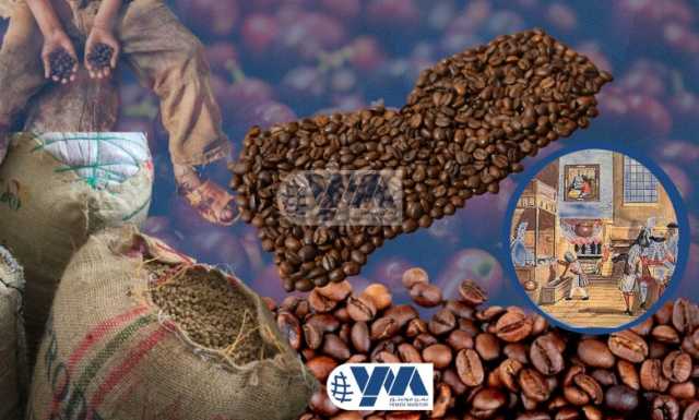 بعمر مليون عام.. رسم شجرة العائلة اليمنية يحمي مستقبل القهوة العربية من التغير المناخي