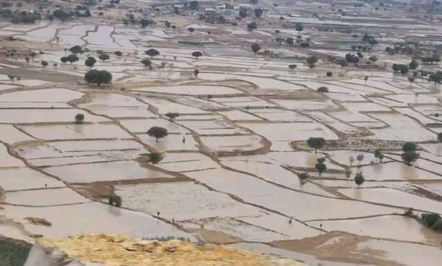 “الأرصاد اليمني” يتوقع هطول أمطار رعدية متفاوتة الشدة على مناطق متفرقة