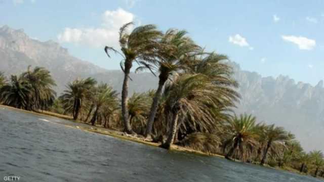 الأرصاد اليمني يتوقع استمرار الرياح القوية حول سقطرى ويحذر من اضطراب البحر