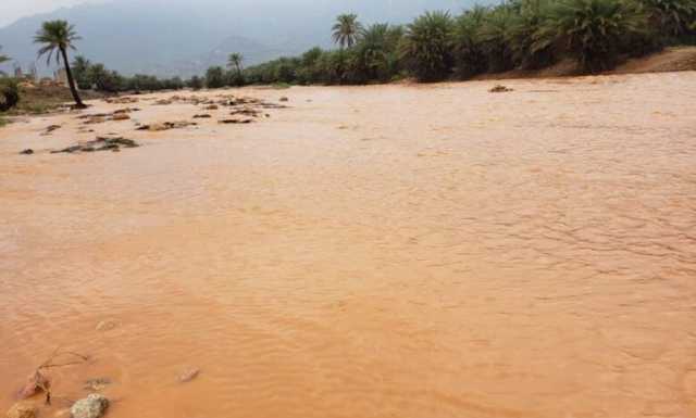 الأرصاد اليمني يتوقع هطول أمطار متفاوتة الشدة خلال الساعات القادمة