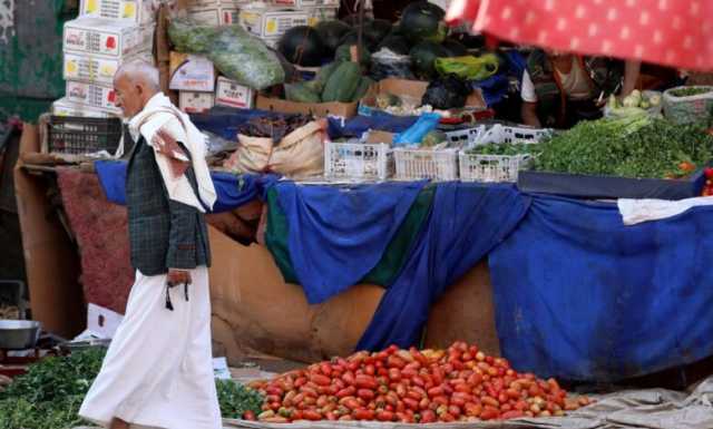 صحيفة: الاستيراد من الأردن يخفض أسعار الطماطم