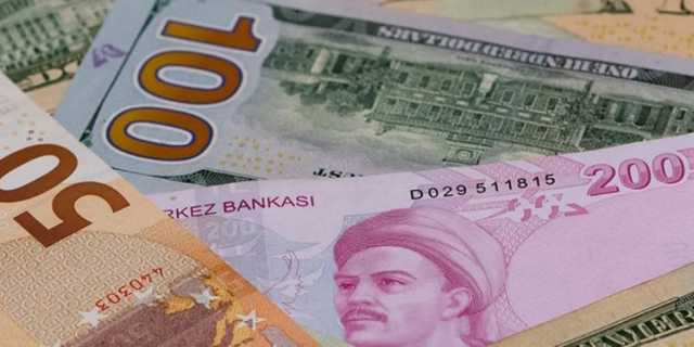 اقتصاديون يتوقعون مستقبلا مثيرا للدولار في تركيا