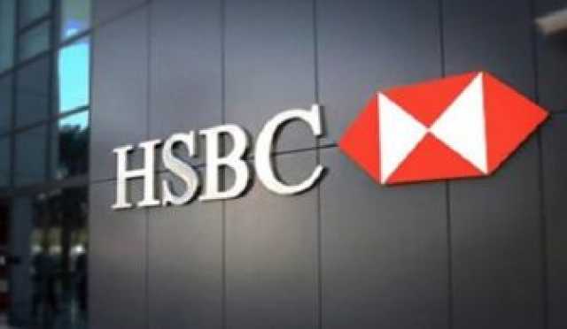 بنك HSBC يتوقع ارتفاع الدولار في تركيا فوق 30 ليرة