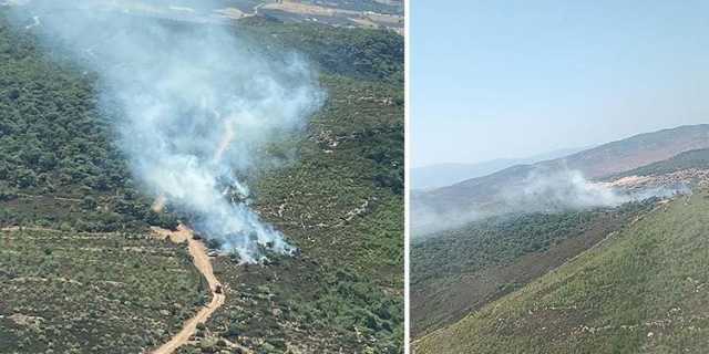 تركيا.. اندلاع حريق غابات في إزمير