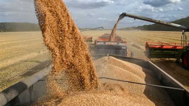 كييف تدعو مصر للانضمام إلى برنامج “الحبوب من أوكرانيا” الإنساني