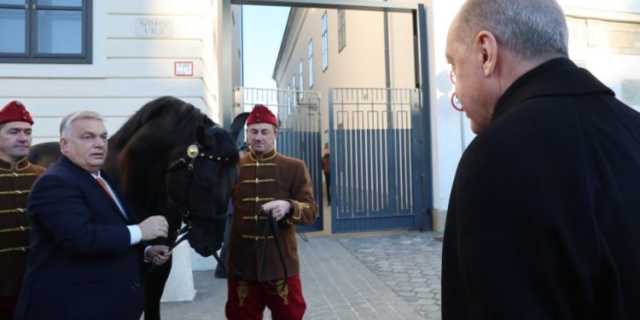 رئيس وزراء المجر يهدي أردوغان حصان