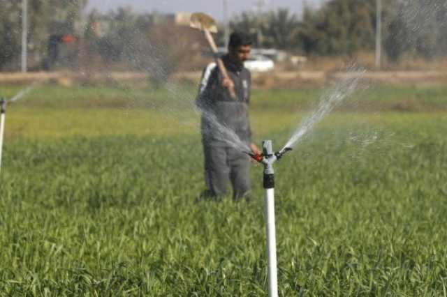 العراق يوسّع رقعته الزراعية.. لكن النجاح مرتبط بتوفر المياه