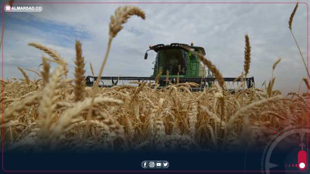 وزارة الزراعة بحكومة حماد تعتزم إنشاء مشروع وطني لزراعة القمح بمساحة تقدر 100 ألف هكتار