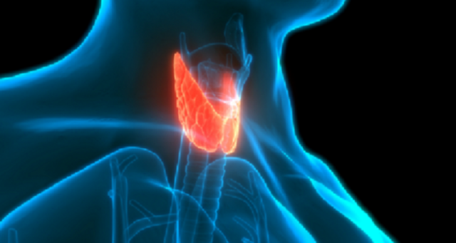 طبيب روسي يوضح ضرورة فحص الغدة الدرقية