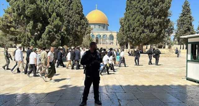 عشرات المستوطنين الإسرائيليين يقتحمون المسجد الأقصى مجددا